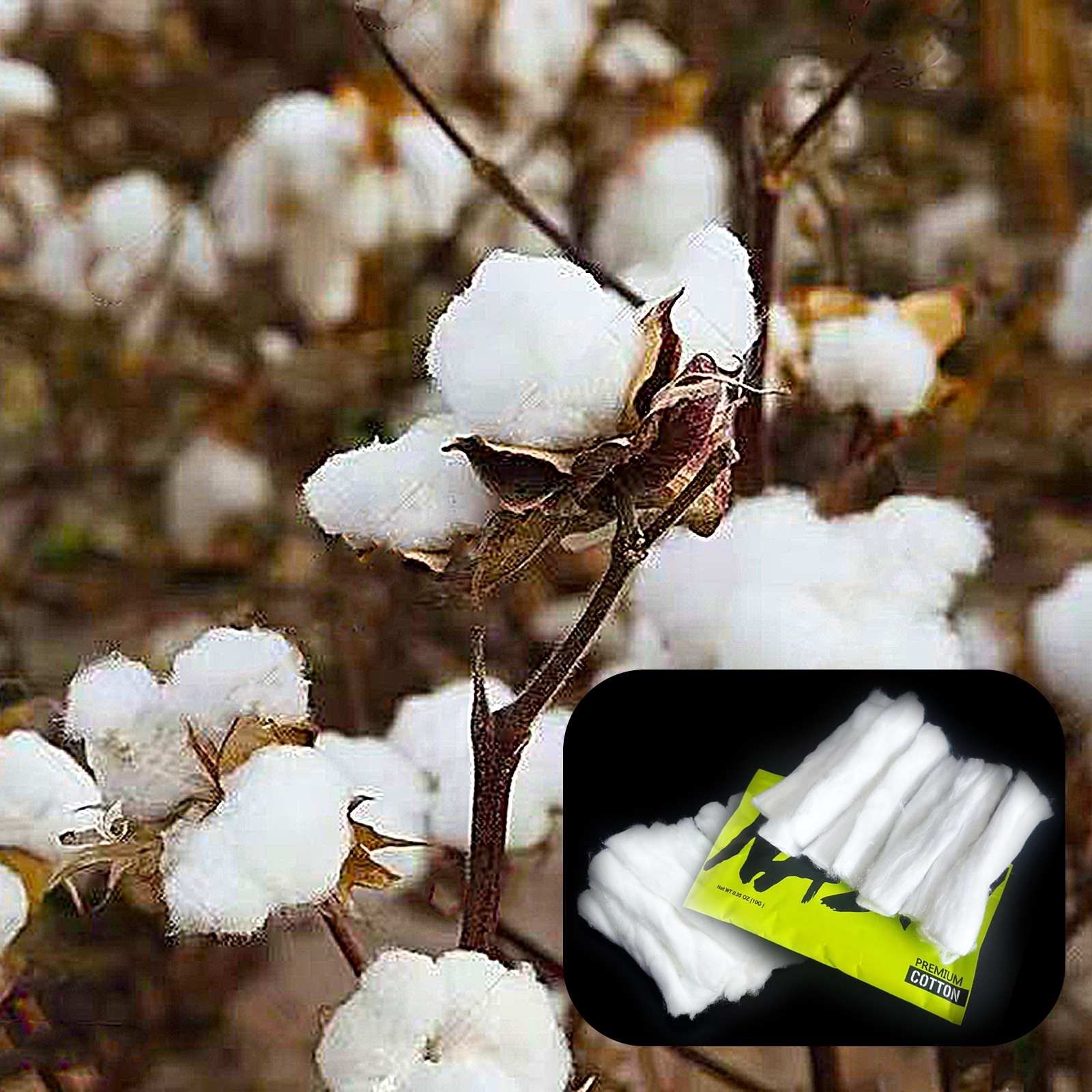10/5/3Packs Home DIY Natural C - Cotton Wick Organic 리뷰 및 가격