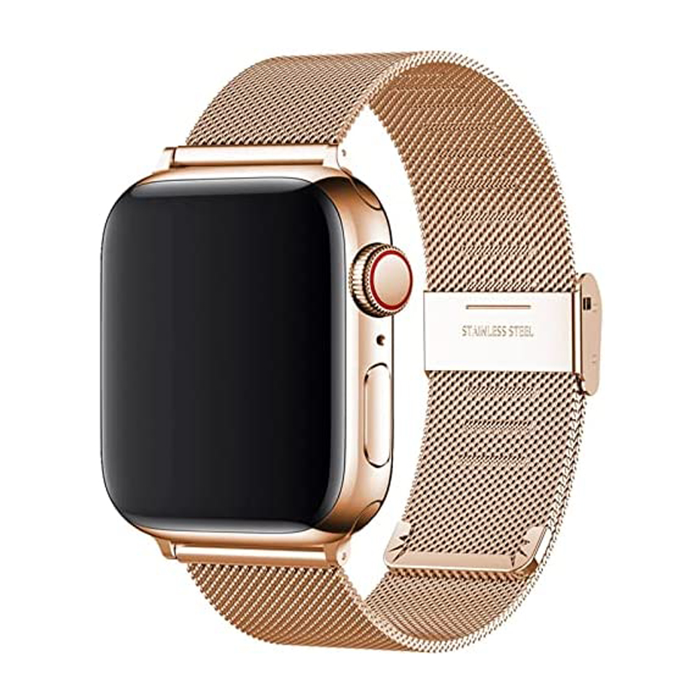 Link Bracelet Strap for Apple  - Mesh Coil Strip 리뷰 및 가격
