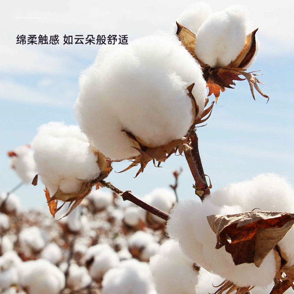 5.0/3.0/2.5mm Rubber Head Orga - Cotton Wick Organic 리뷰 및 가격